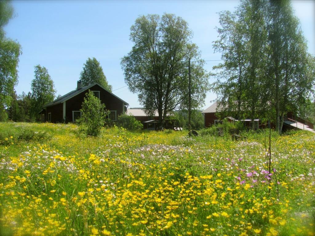 Ellis Garden Konuk evi Vemhån Dış mekan fotoğraf